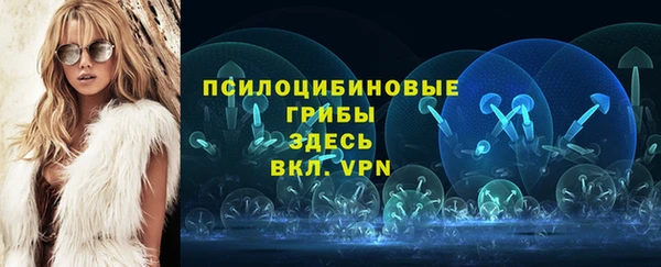 mdpv Балахна