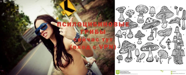 прущие крисы Баксан